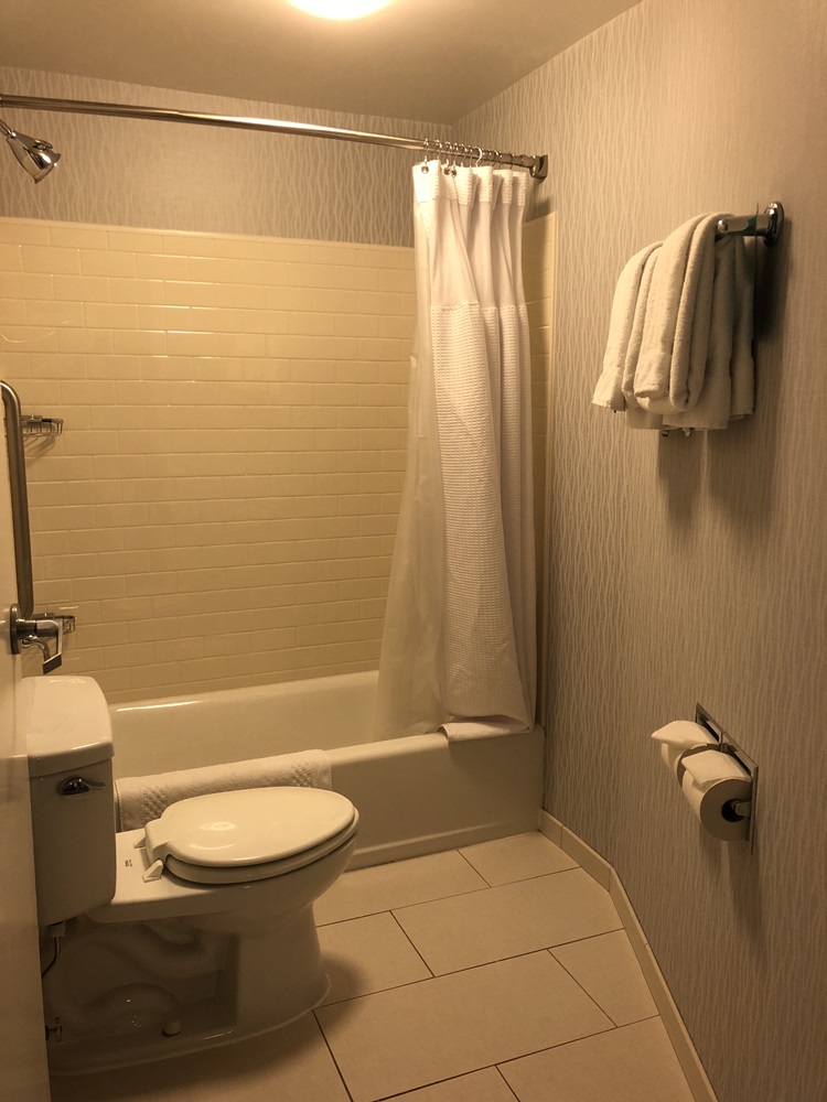 Springhill Suites by Marriott Chicago Downtown/ River North