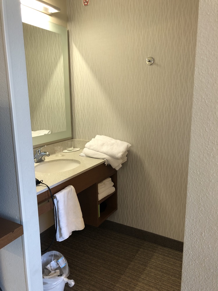Springhill Suites by Marriott Chicago Downtown/ River North