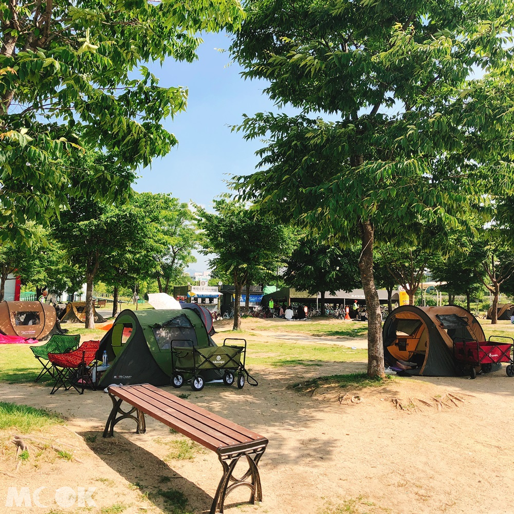 汝矣島漢江公園周邊的帳篷
