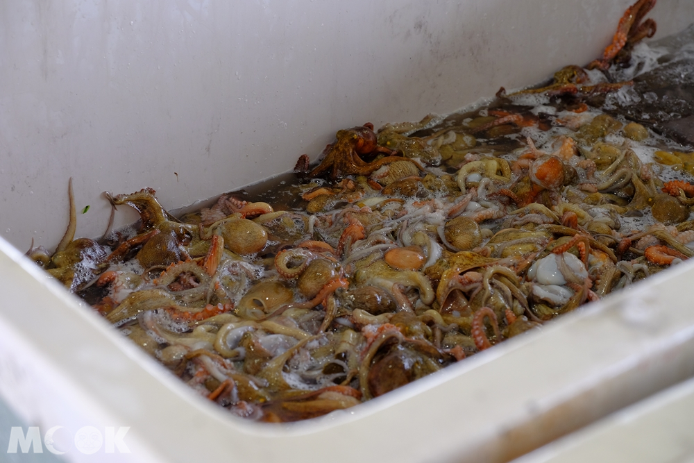 捕魚業合作社拍賣市場的章魚
