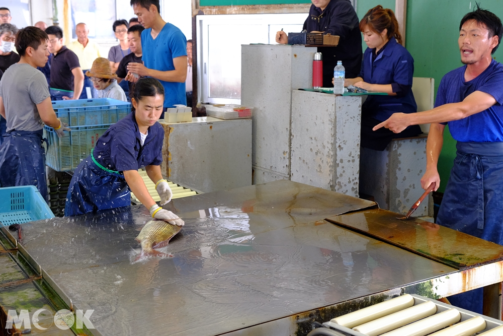 捕魚業合作社拍賣市場