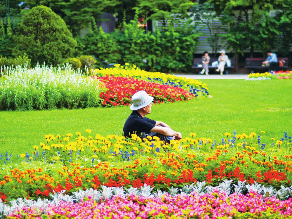札幌大通公園一景