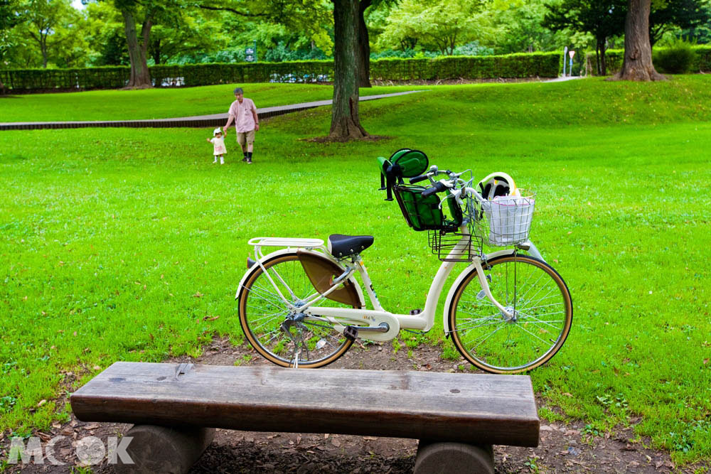 北海道大學一景
