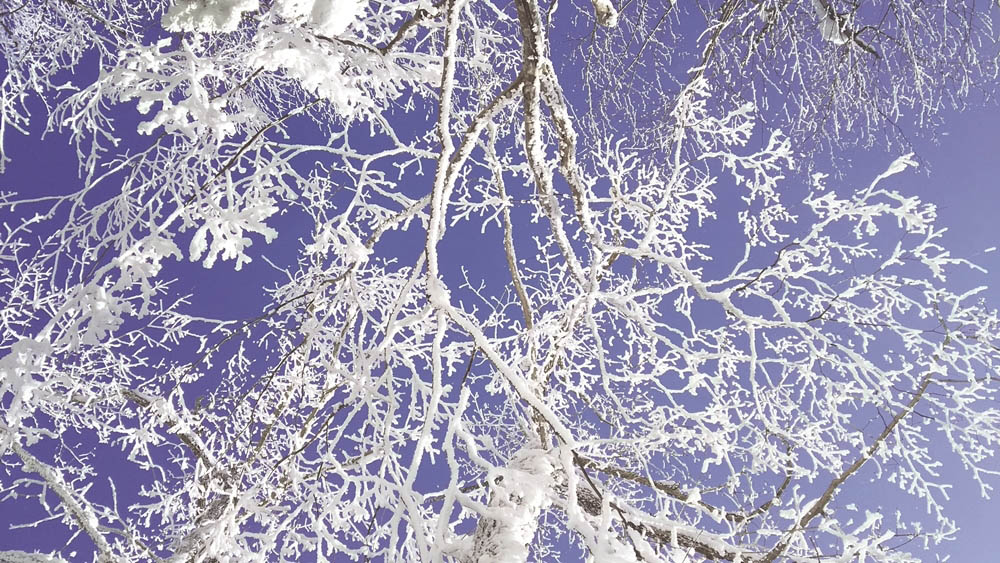 北海道阿寒湖的冬天雪景與湖上活動