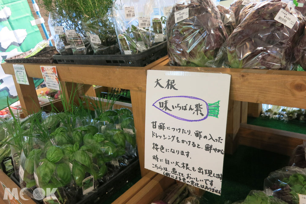 北海道七飯町的道の駅なないろ・ななえ(七色・七飯休息站) 新鮮香草盆栽