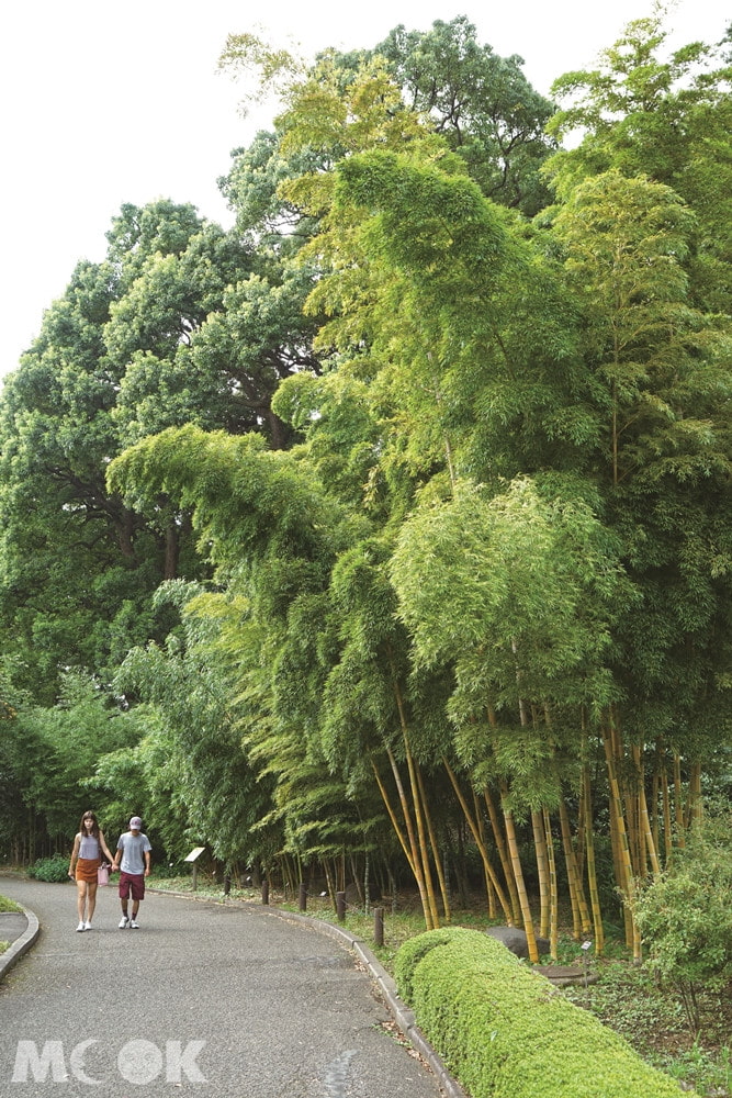 竹林