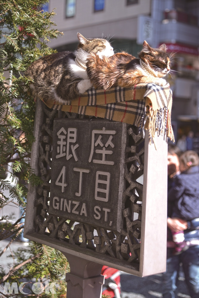 銀座