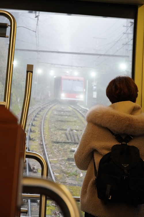 車內景觀