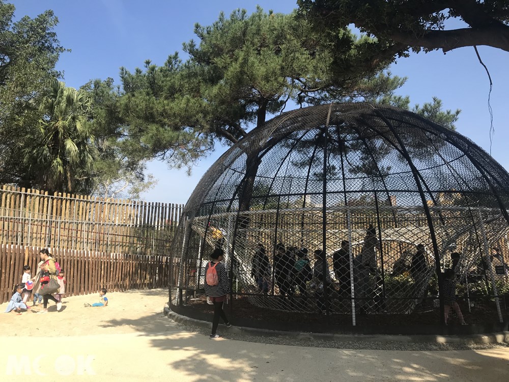 台灣 新竹 北台灣 新竹市立動物園 籠子 鳥籠
