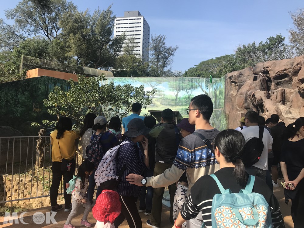台灣 新竹 北台灣 新竹市立動物園 人擠人
