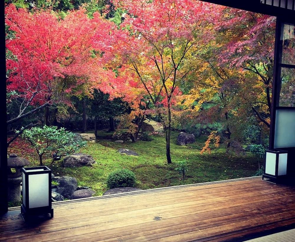 秋楓季節的勝林寺 圖: 東福寺塔頭　勝林寺