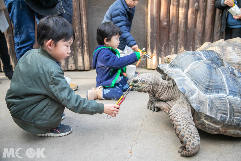 在神戶動物王國可以近距離跟動物互動