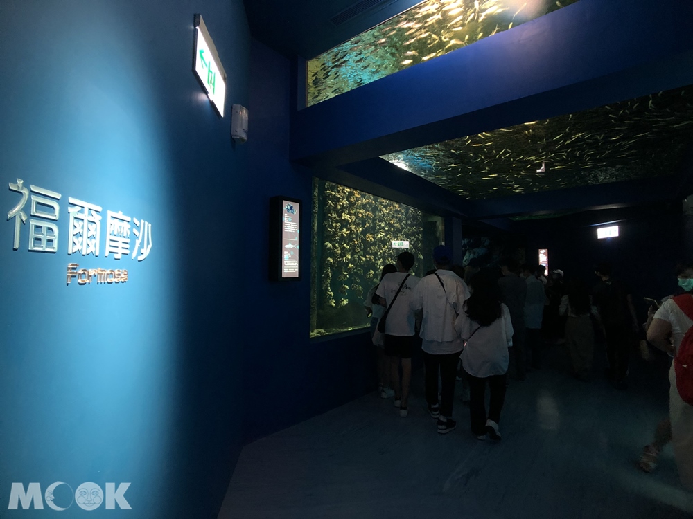 Xpark 福爾摩沙