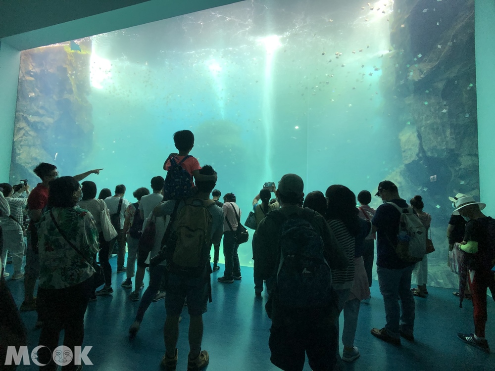 Xpark大洋池
