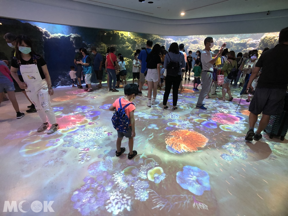 Xpark 珊瑚潛行