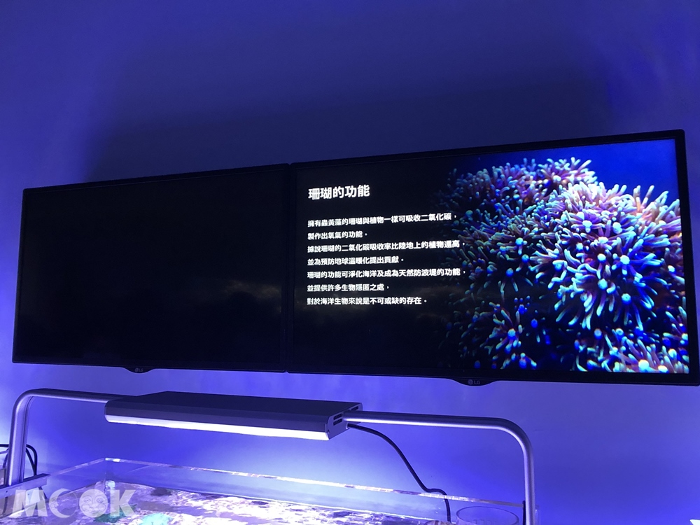 Xpark 珊瑚潛行