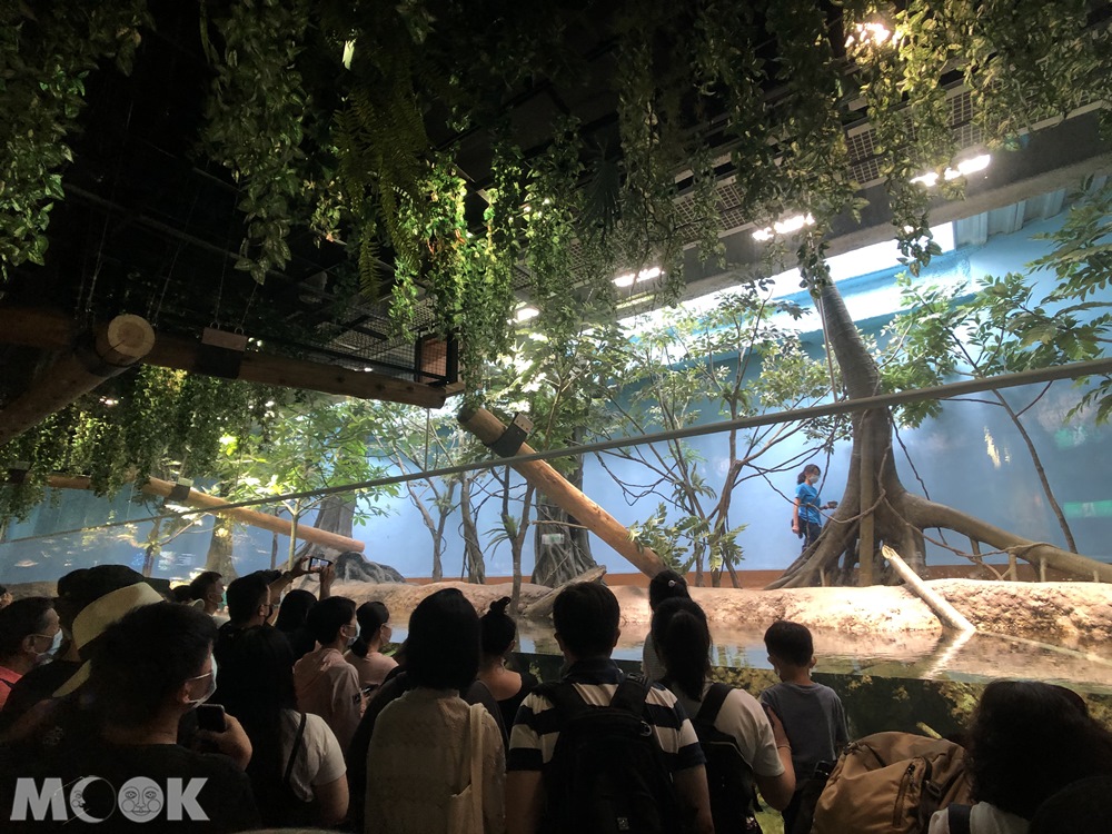 Xpark 雨林探險