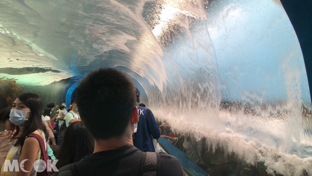 Xpark 寒帶行凍