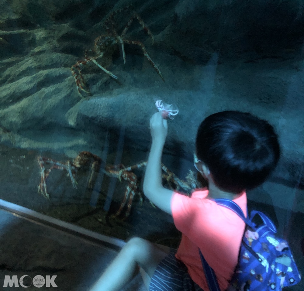 Xpark 深海尋覓