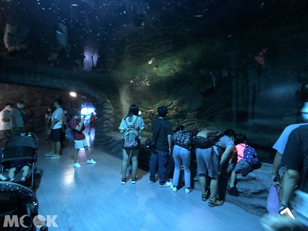 Xpark 深海尋覓