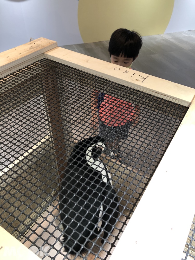 Xpark的秘密