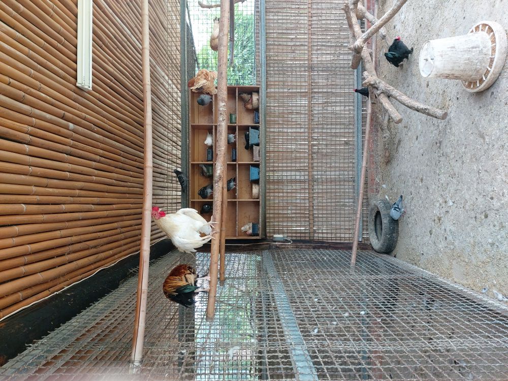 麥客田園