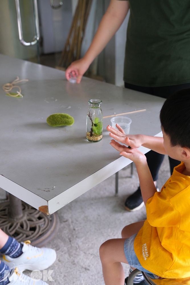 勝洋水草休閒農場 藻球DIY