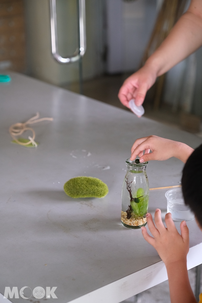 勝洋水草休閒農場 藻球DIY