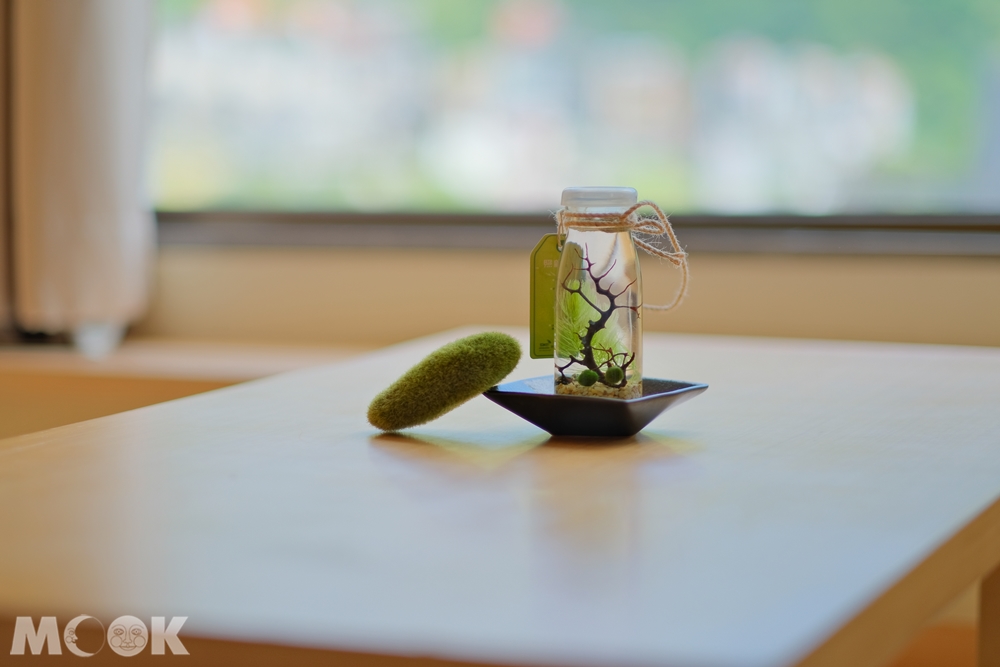 勝洋水草休閒農場 藻球DIY