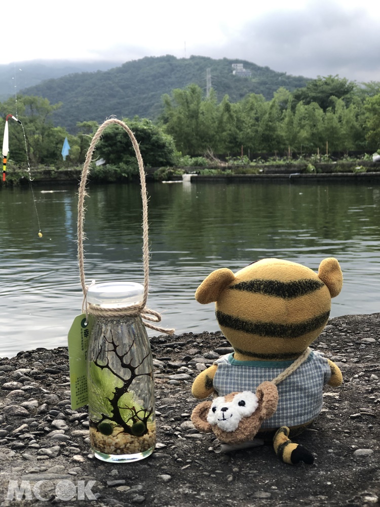 勝洋水草休閒農場 親近大自然