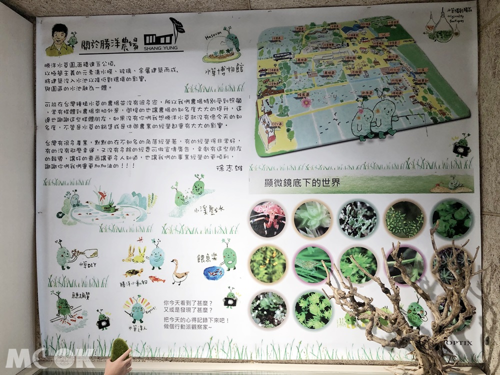 勝洋水草休閒農場