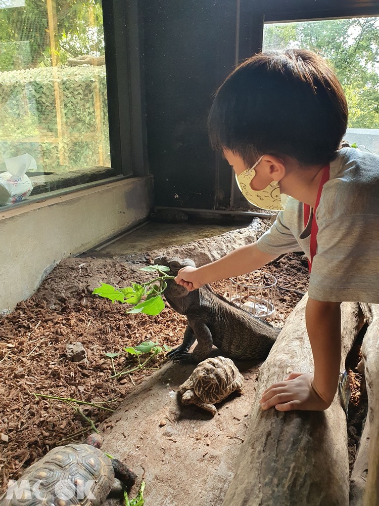 台灣昆蟲館 新竹館 餵食體驗