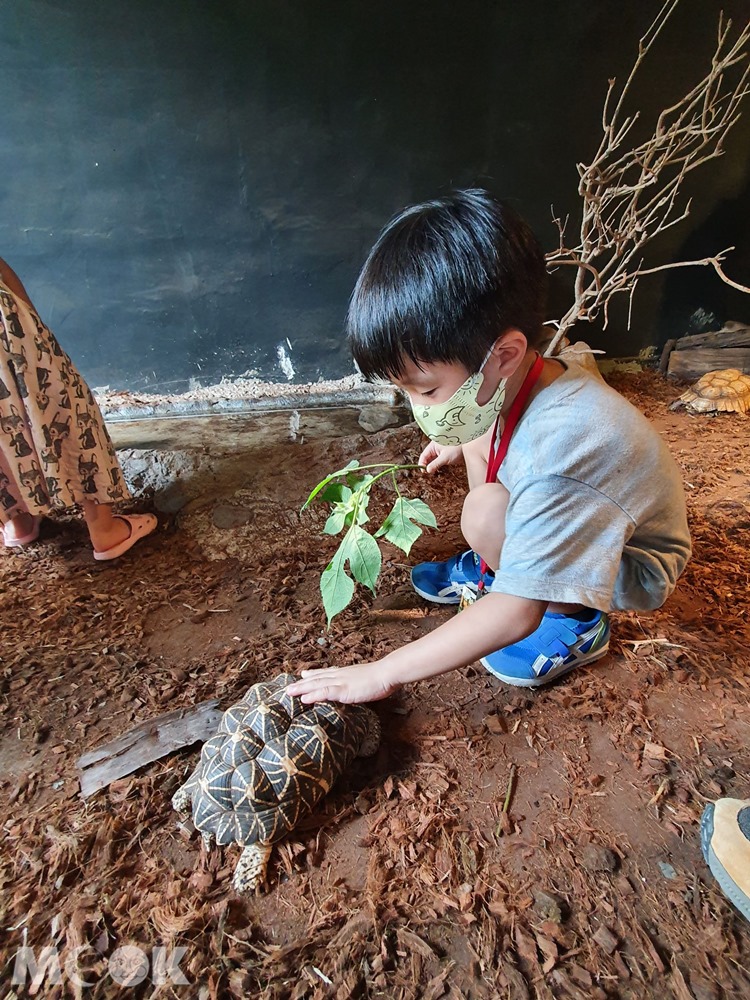 台灣昆蟲館 新竹館 餵食體驗