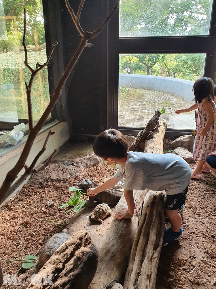 台灣昆蟲館 新竹館 餵食體驗