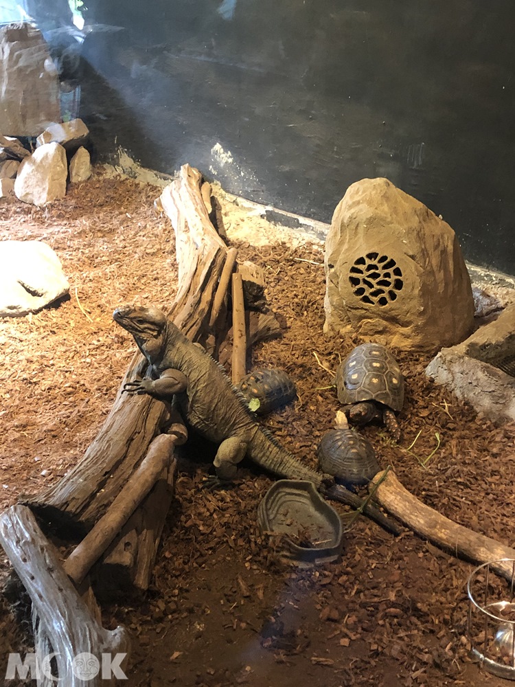 台灣昆蟲館 新竹館