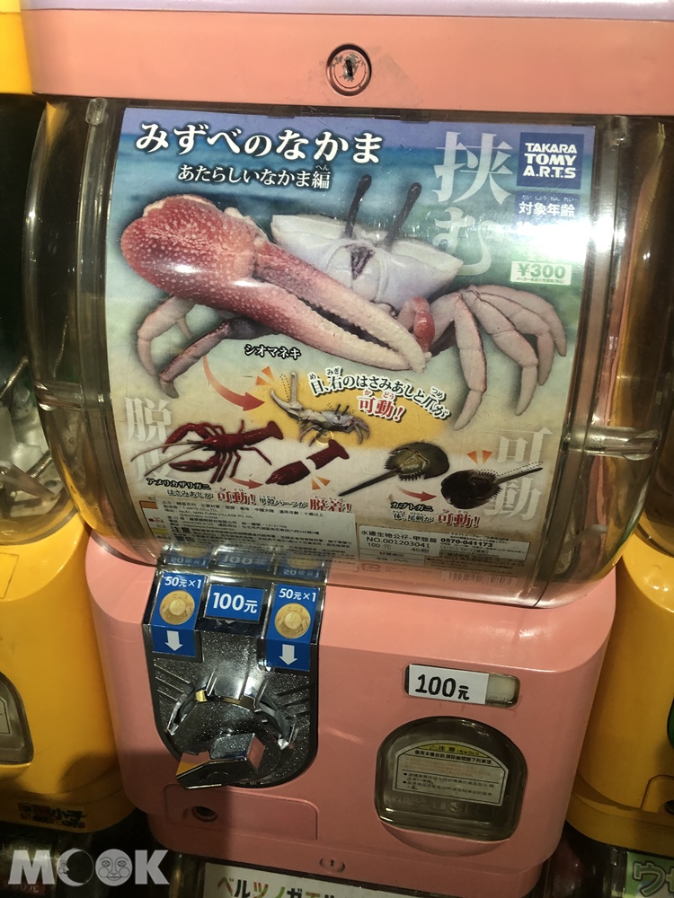 台灣昆蟲館 新竹館 扭蛋