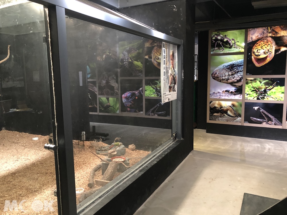 台灣昆蟲館 新竹館 參觀環境