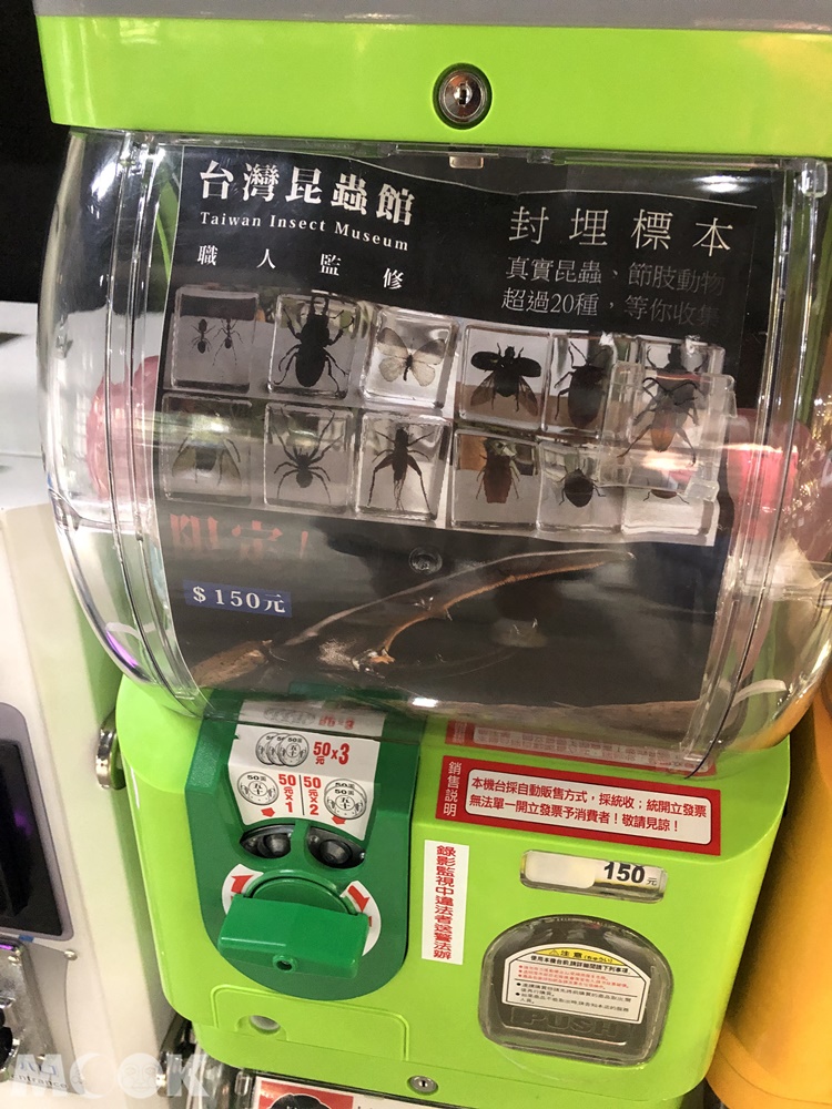 台灣昆蟲館 新竹館 扭蛋