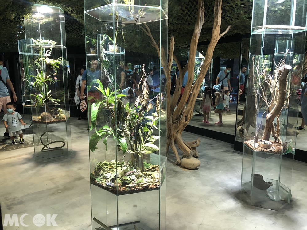 台灣昆蟲館 新竹館 參觀環境