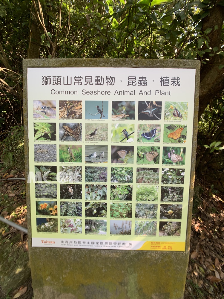 獅頭山公園