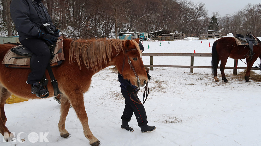 Wild Mustang’s騎馬體驗適合初學者