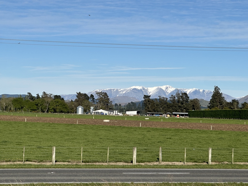 阿爾卑斯山號觀景火車TranzAlpine Train
