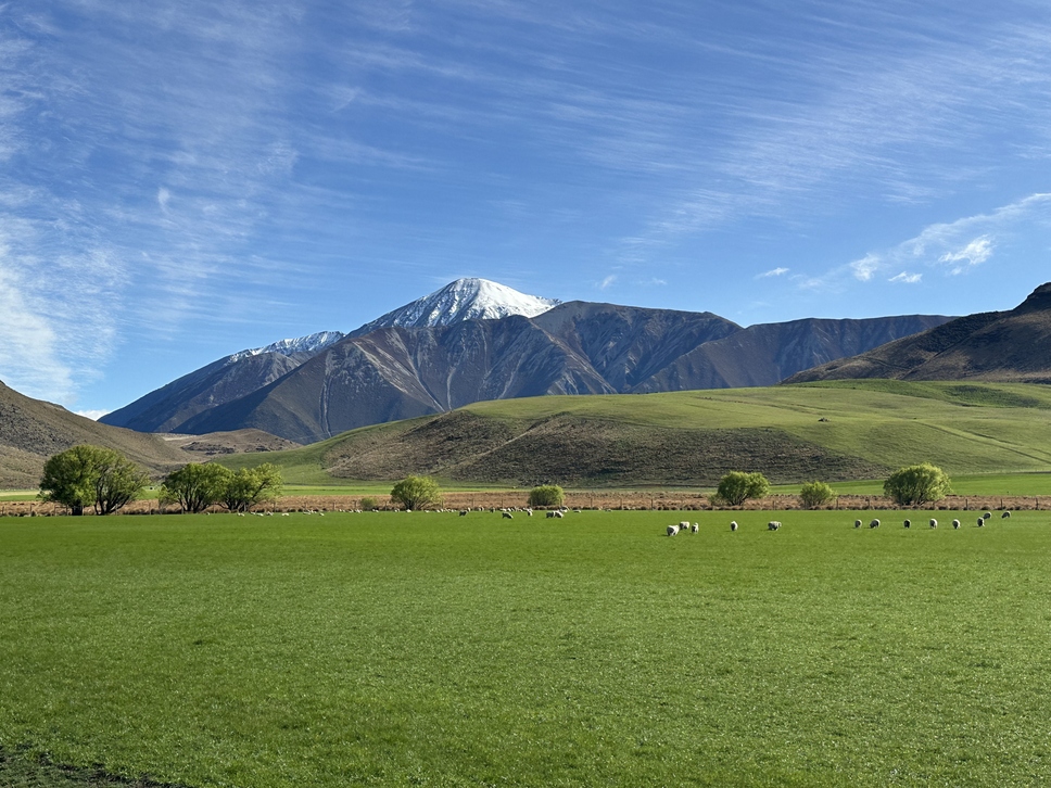 阿爾卑斯山號觀景火車TranzAlpine Train